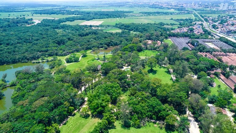 Parque Natural Municipal Roberto Burle Marx (Parque da Cidade)